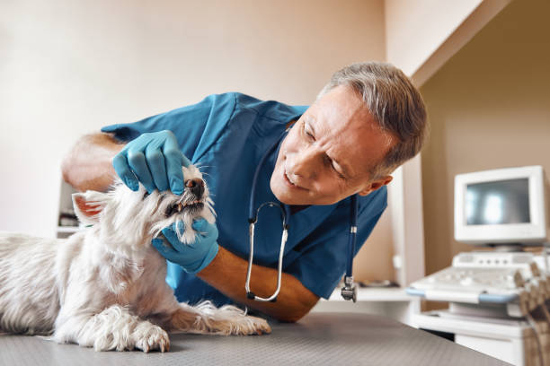 Best Emergency Dental Surgery in Laguna Beach, FL